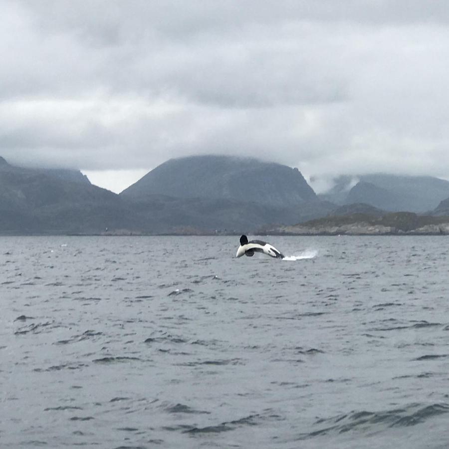 Fishermans Rorbu 2 - Lofoten Ramberg Kültér fotó